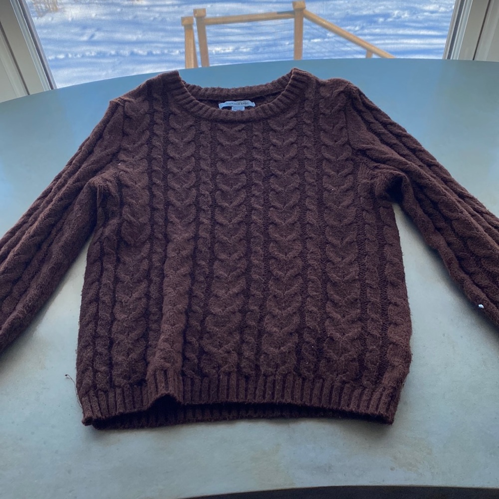 Brown American Eagle Sweater